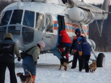 Собак-спасателей приучали к вертолету